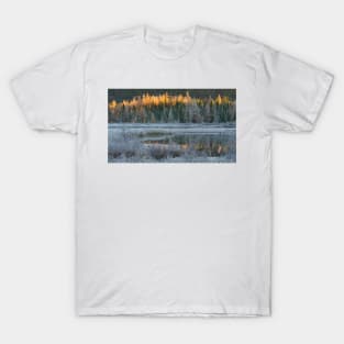 Early Fall, Algonquin Park, Canada T-Shirt